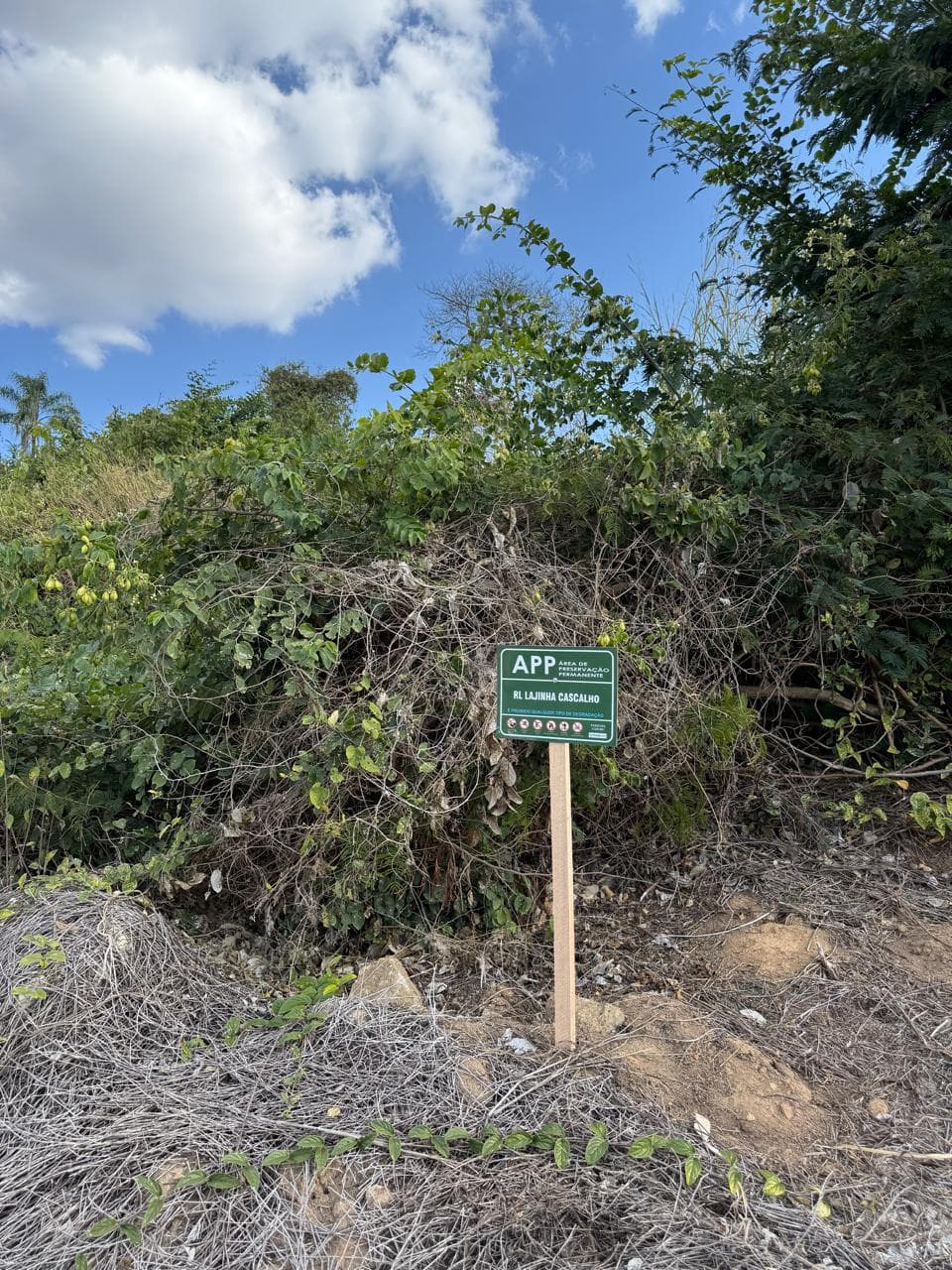 Placa de Área de Preservação Permanente fincada em meio à vegetação nativa da propriedade.
