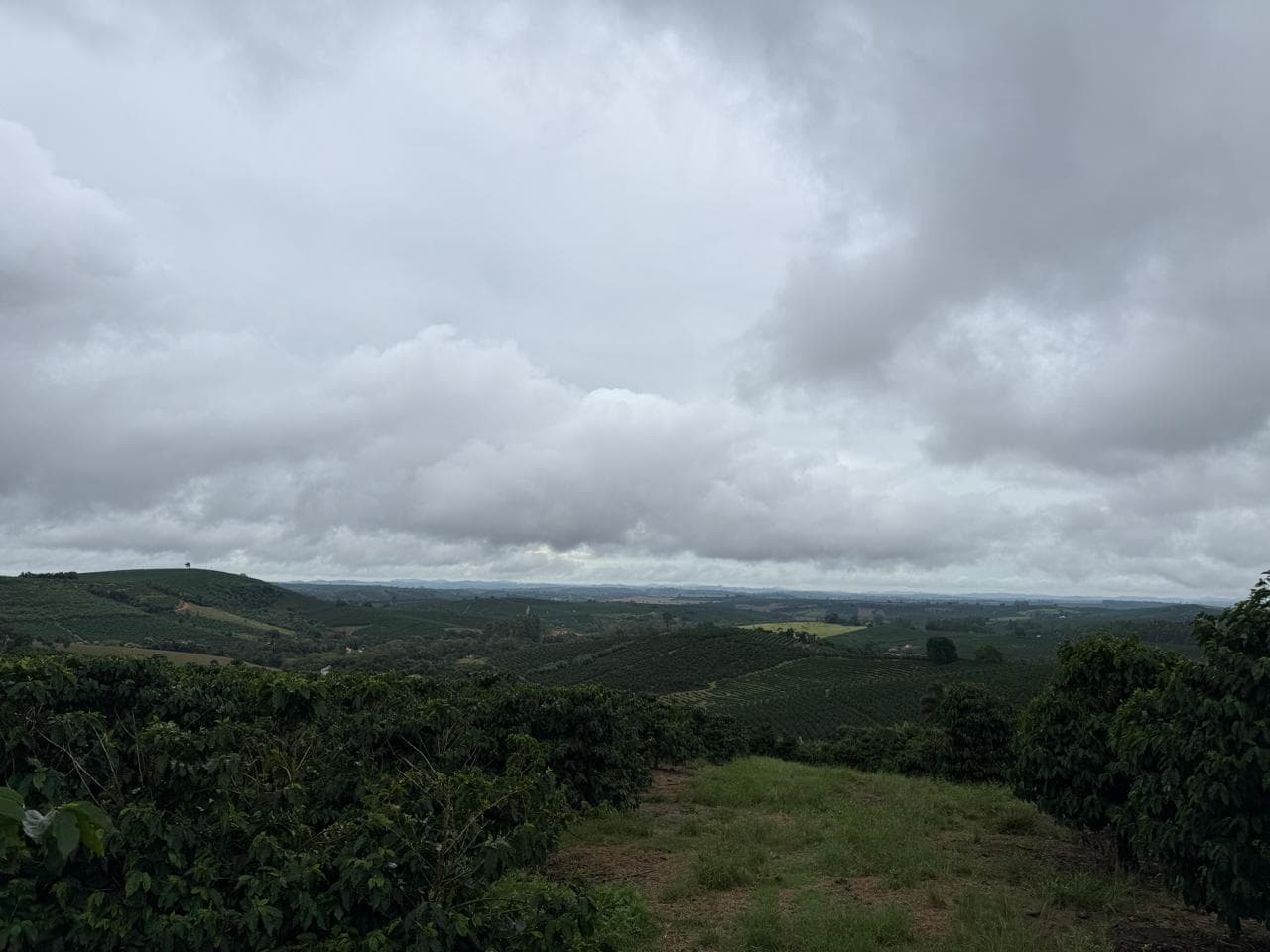 Vale com mata e lavoura de café ao fundo, sob céu nublado.